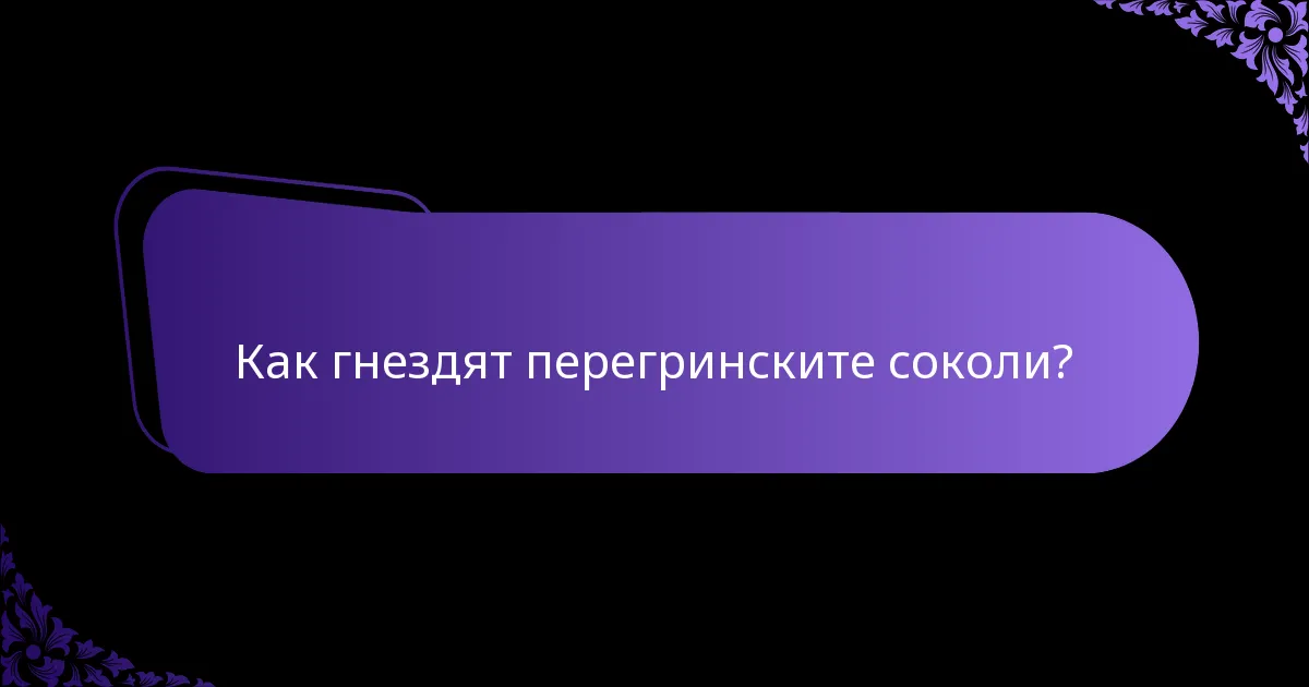 Къде живее перегринският сокол?
