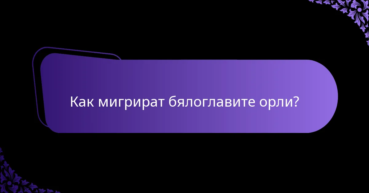Как мигрират бялоглавите орли?