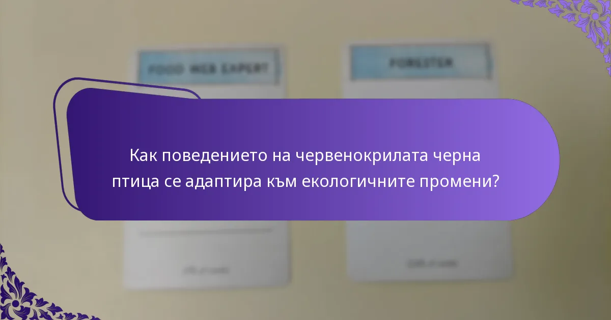 Какво яде червенокрилата черна птица?