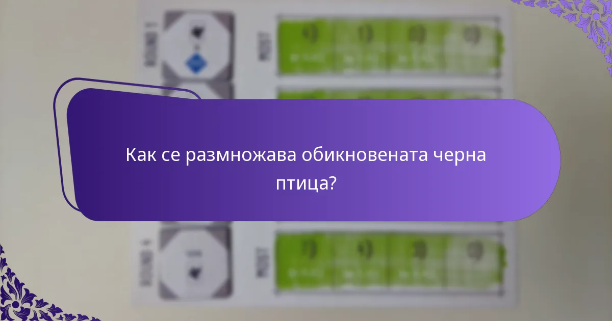 Къде обикновената черна птица обикновено обитава?
