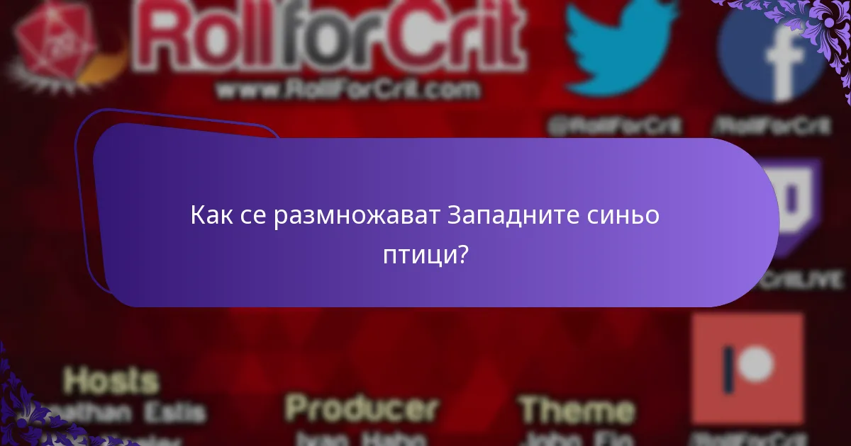 Какво яде Западният синьо птица?