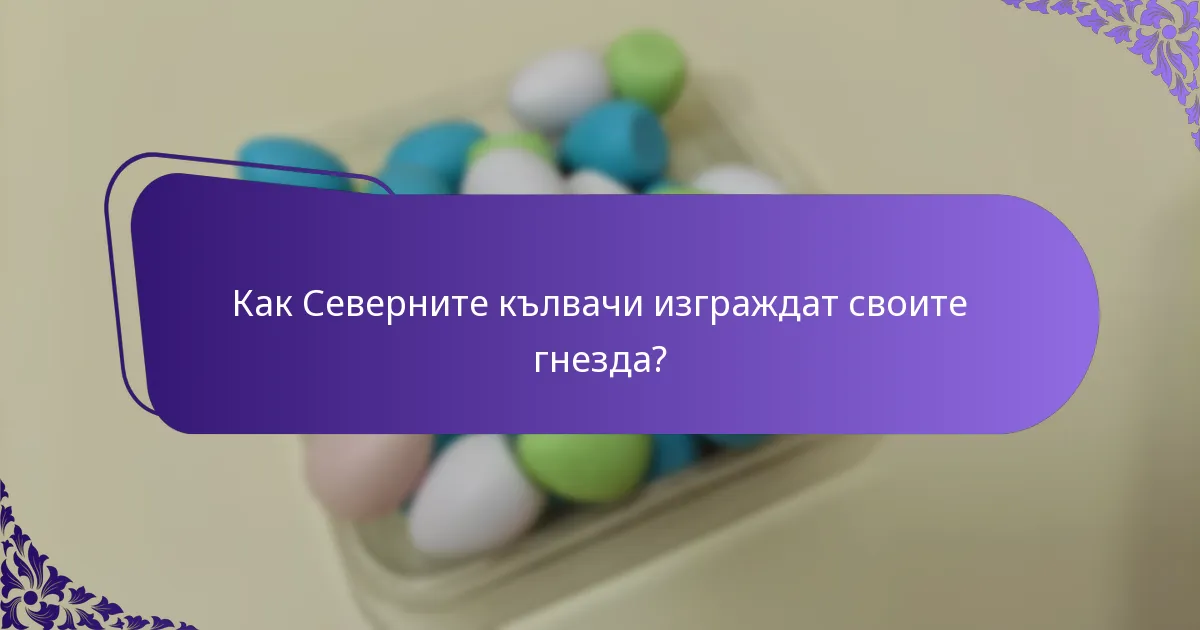 Какъв тип хабитат предпочита Северният кълвач?
