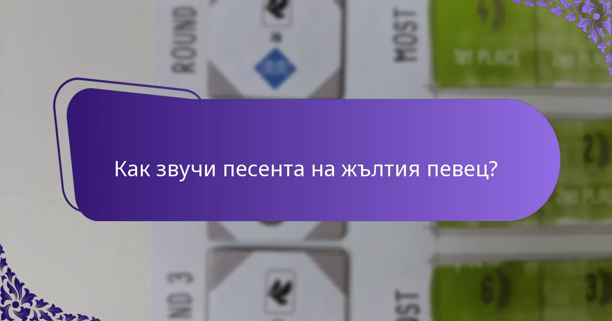 Как звучи песента на жълтия певец?