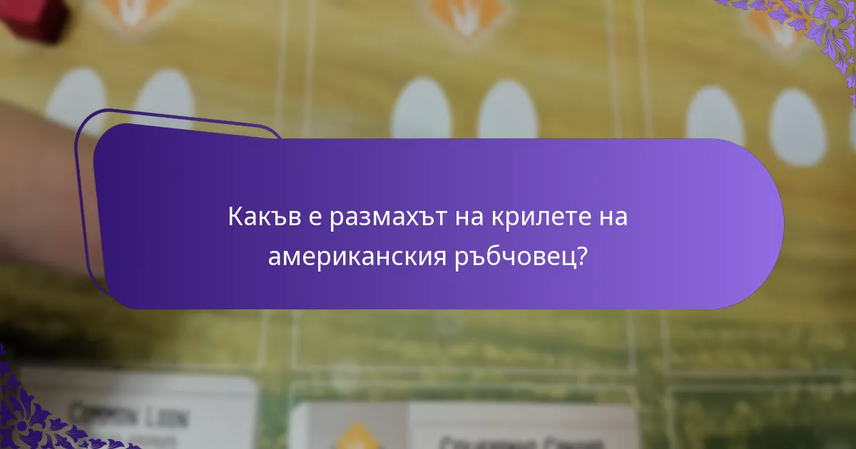 Какъв е размахът на крилете на американския ръбчовец?