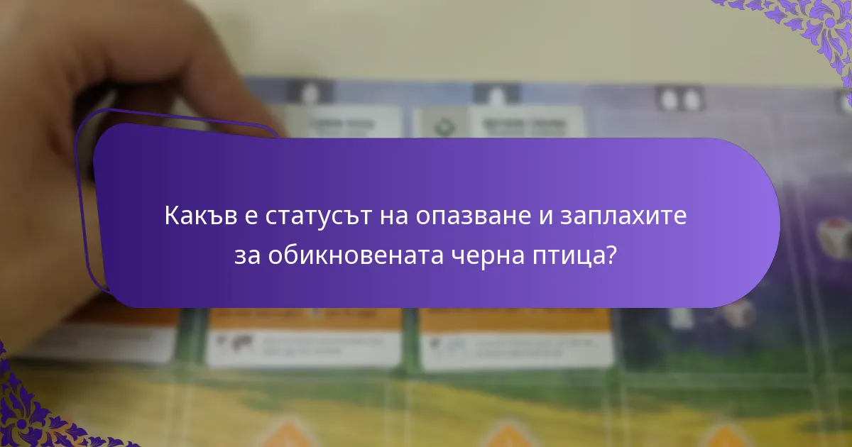 Как се размножава обикновената черна птица?