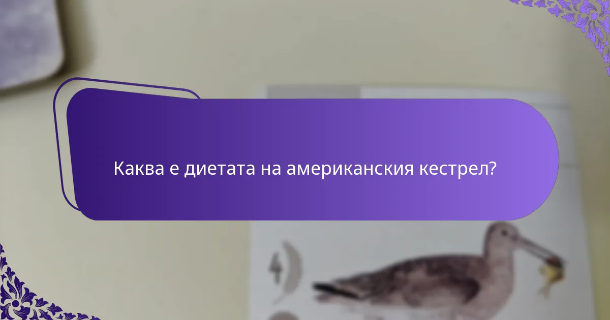 Каква е диетата на американския кестрел?