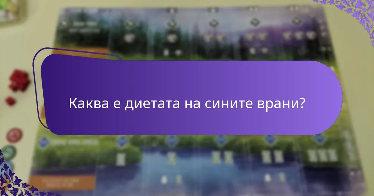 Каква е диетата на сините врани?