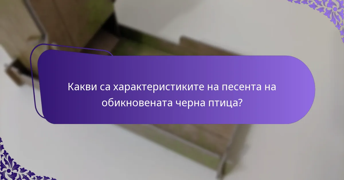 Какъв е статусът на опазване и заплахите за обикновената черна птица?