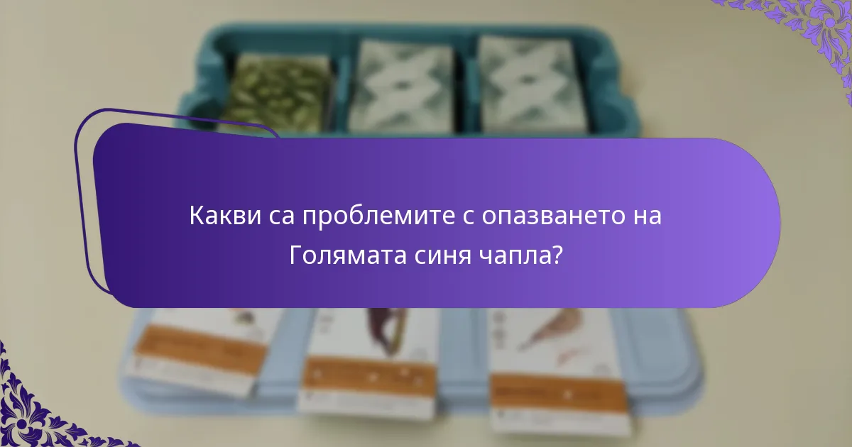 Какви са проблемите с опазването на Голямата синя чапла?