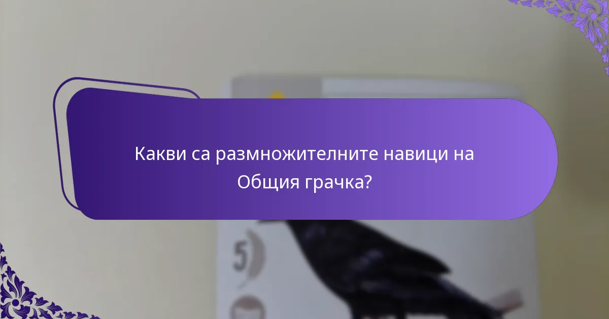 Какви са размножителните навици на Общия грачка?