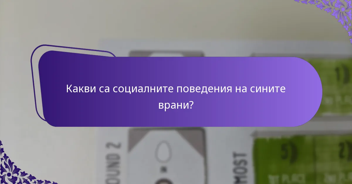 Как сините врани взаимодействат с околната среда?