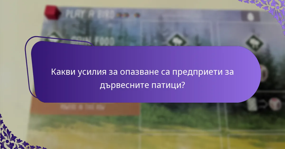 Какви усилия за опазване са предприети за дървесните патици?