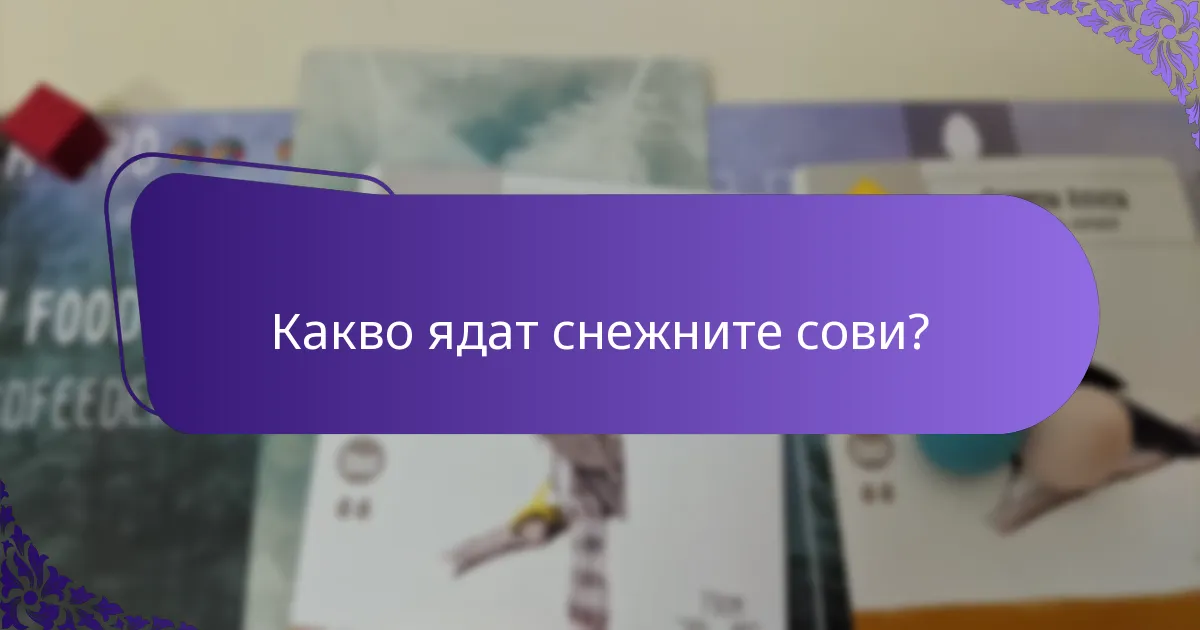 Какъв е статусът на опазване на снежните сови?